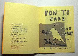 How to Care for your Canary - 2